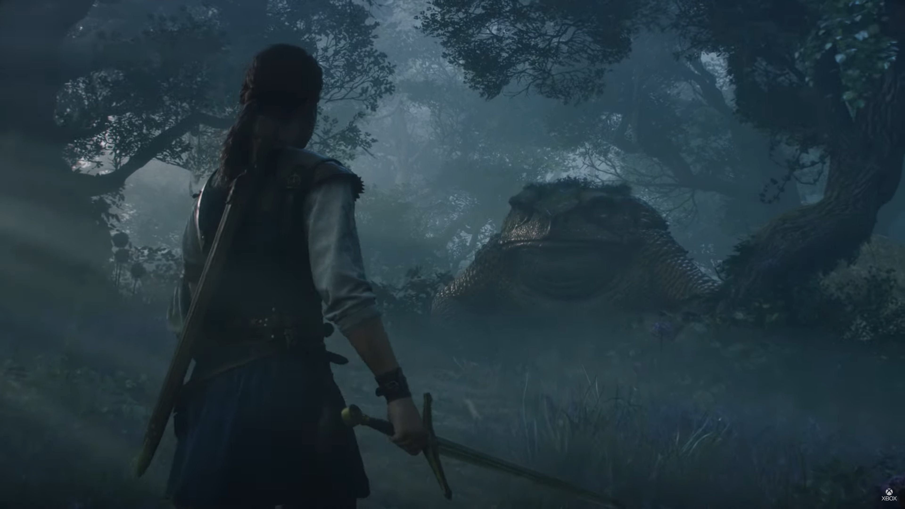 A screenshot of the next Fable game.