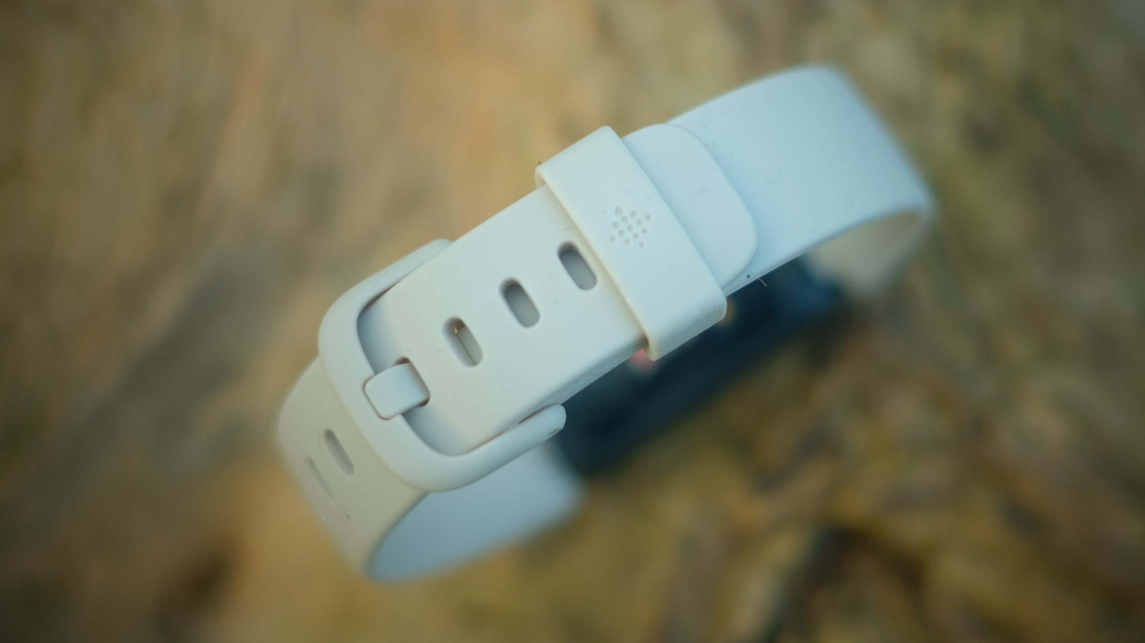 Fitbit Inspire 2