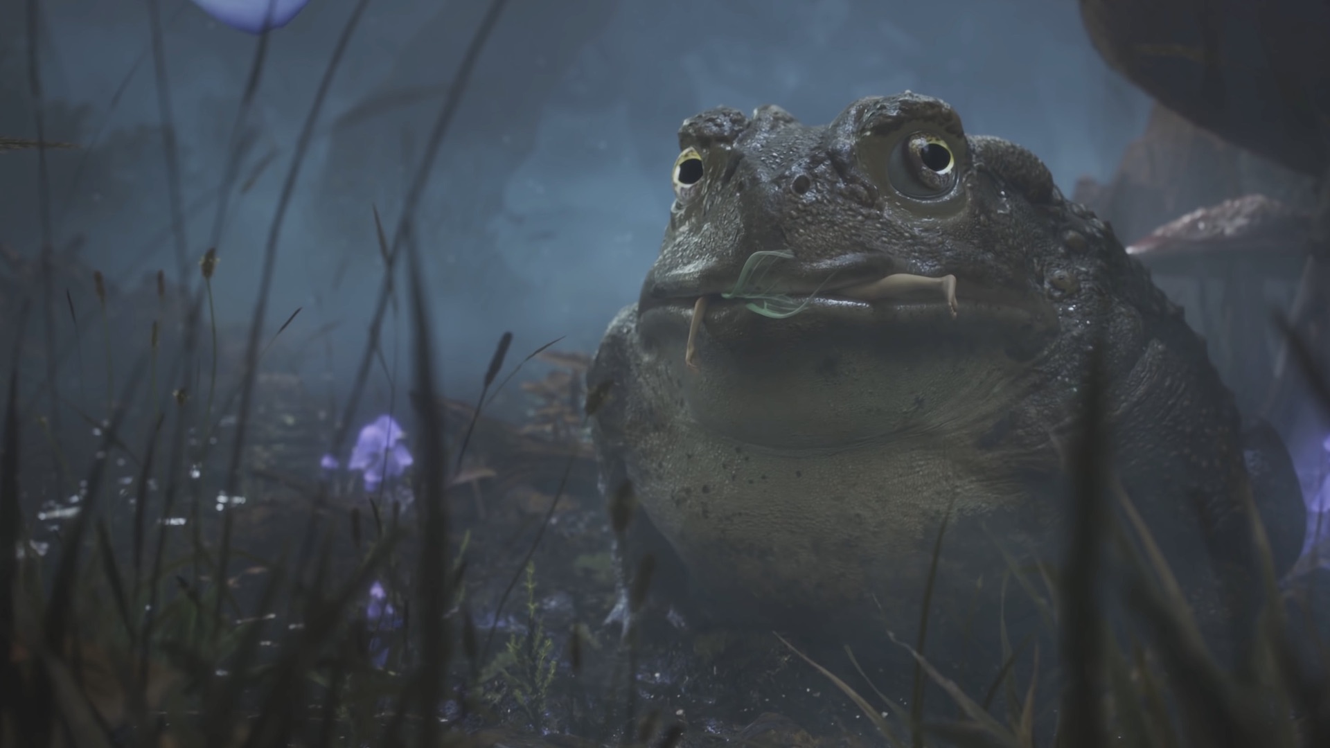 A close up of a toad in a dark swampy setting