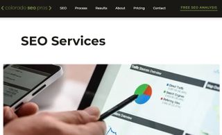 Colorado SEO Pros review