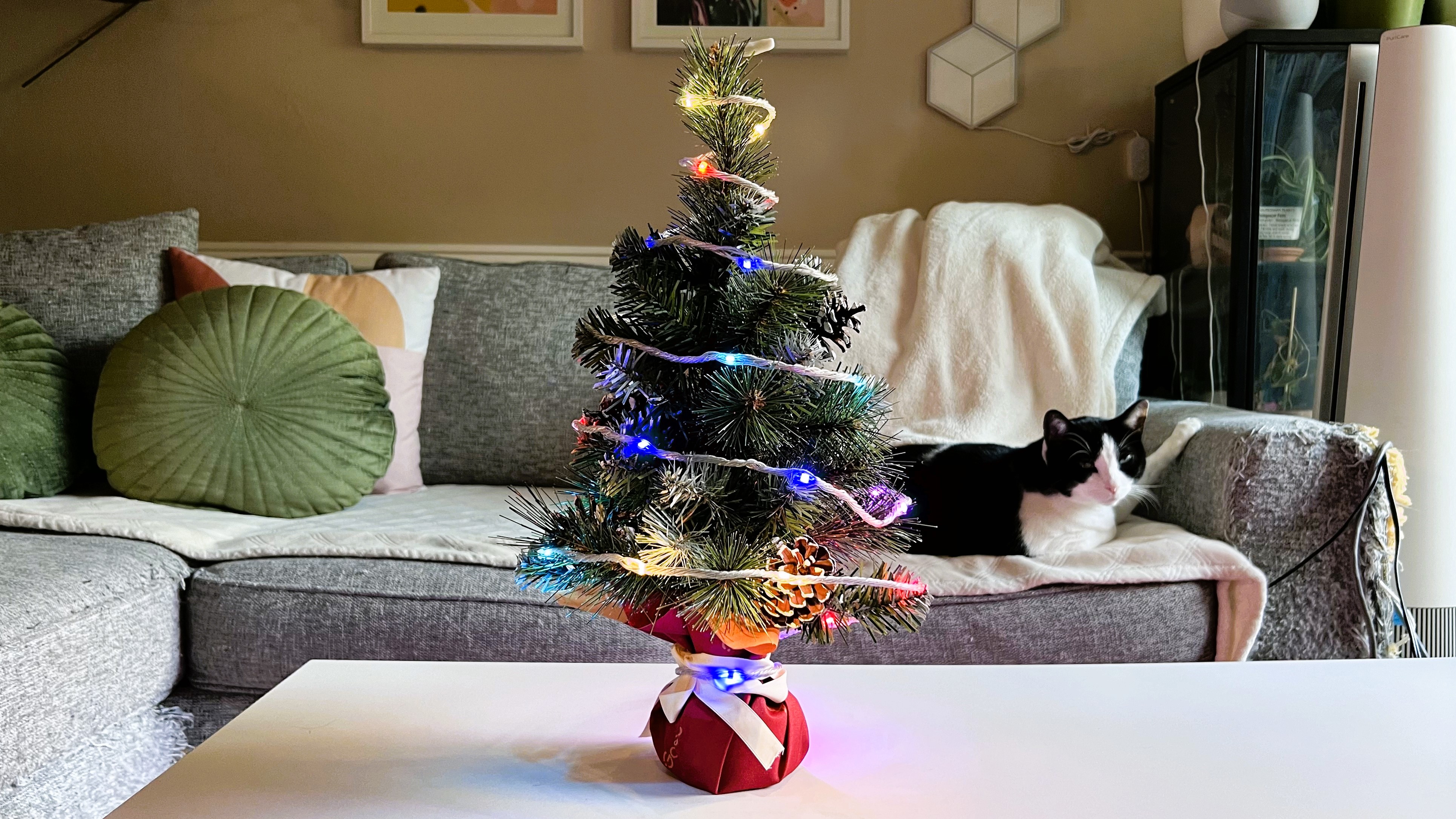 Govee Christmas String Lights on a small tree during testing