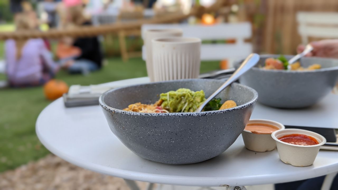 Google Pixel 6 camera samples