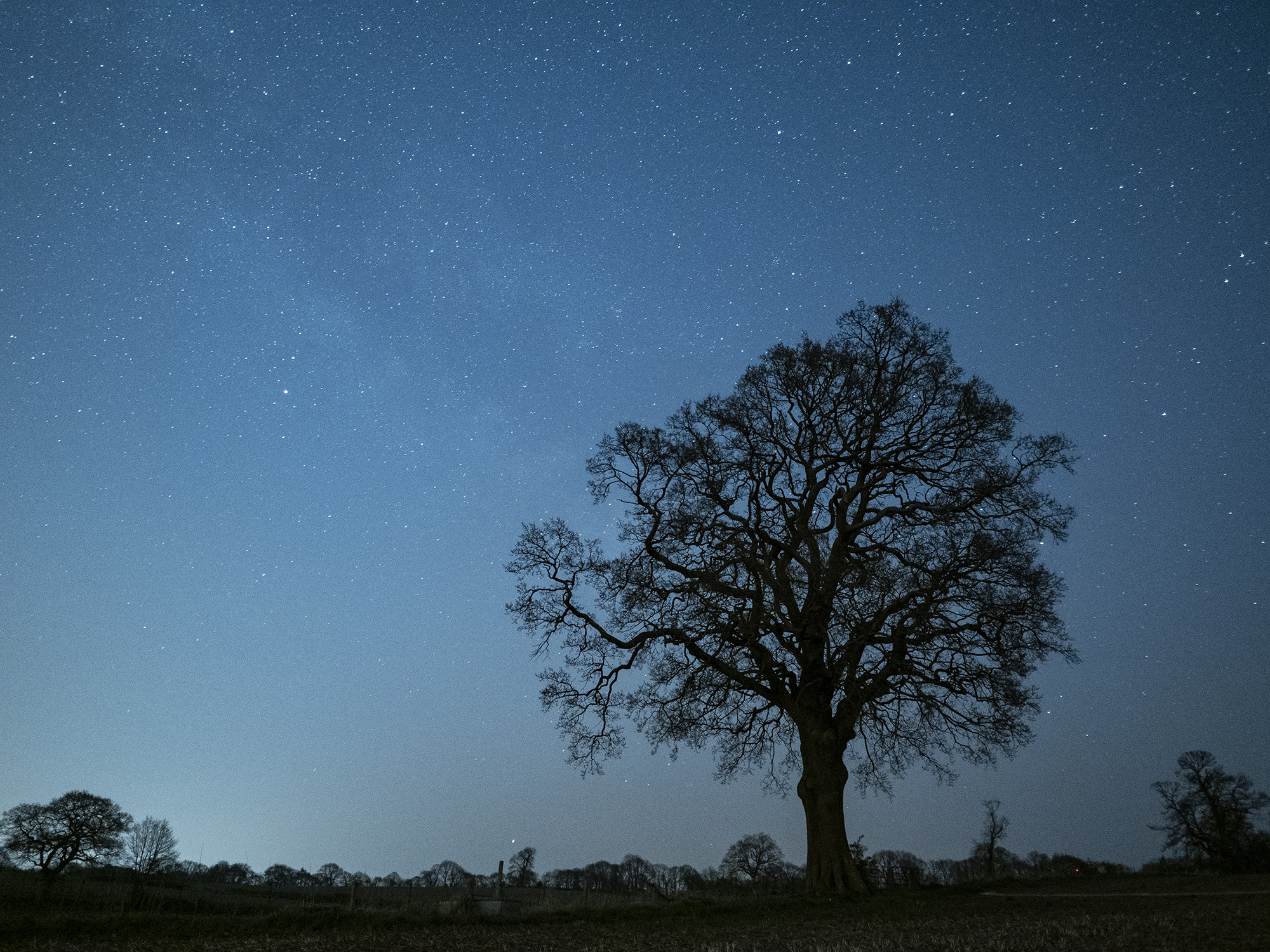 Olympus E-M1 Mark III