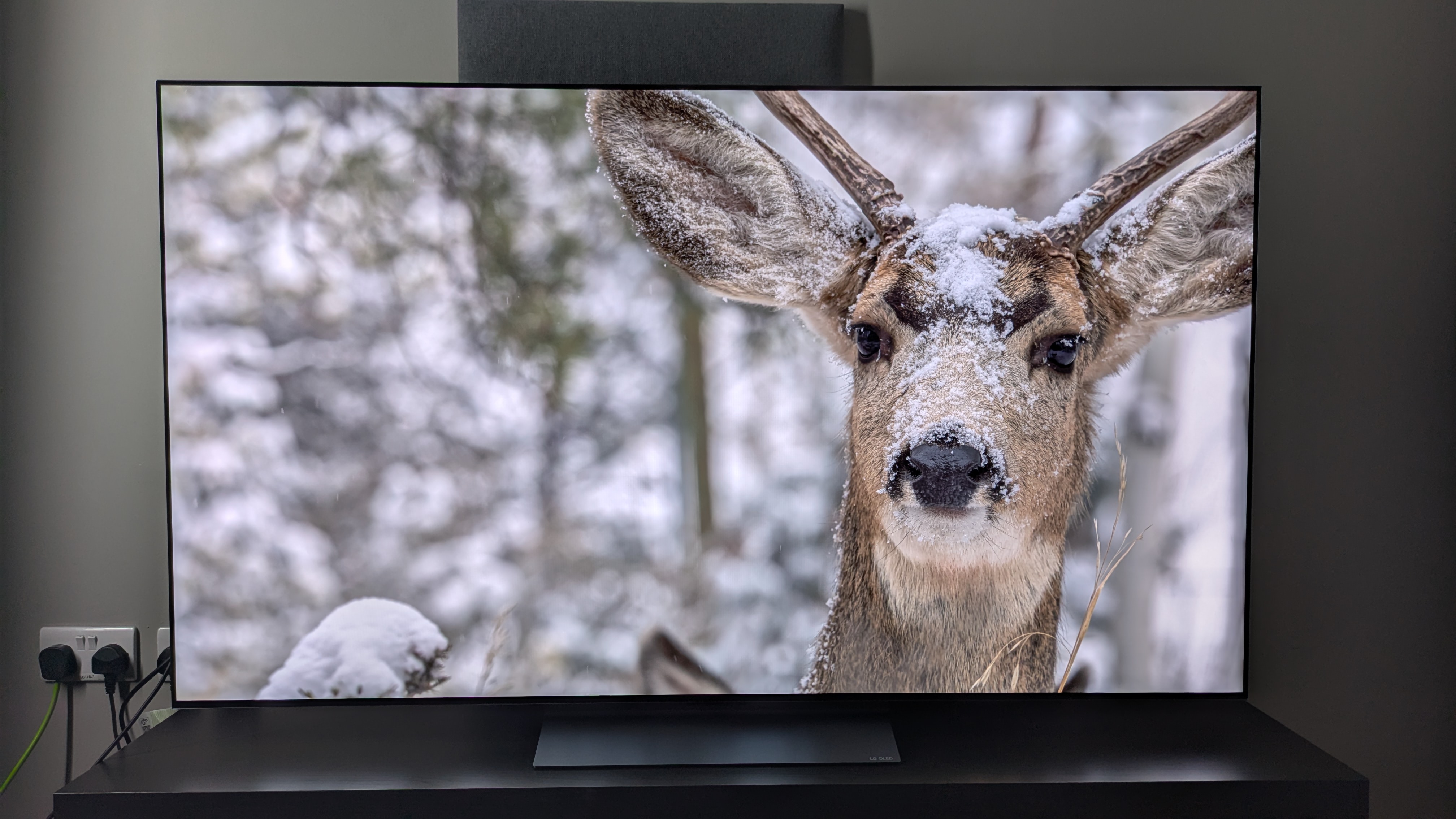 LG C5 listing image with deer in snow on screen