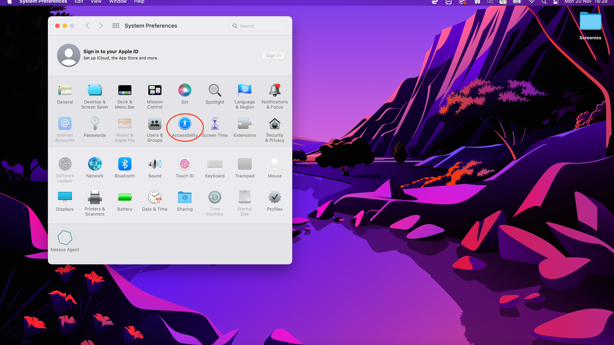 How to change mouse cursor on macOS - red circle around the accessibility settings in System Preferences