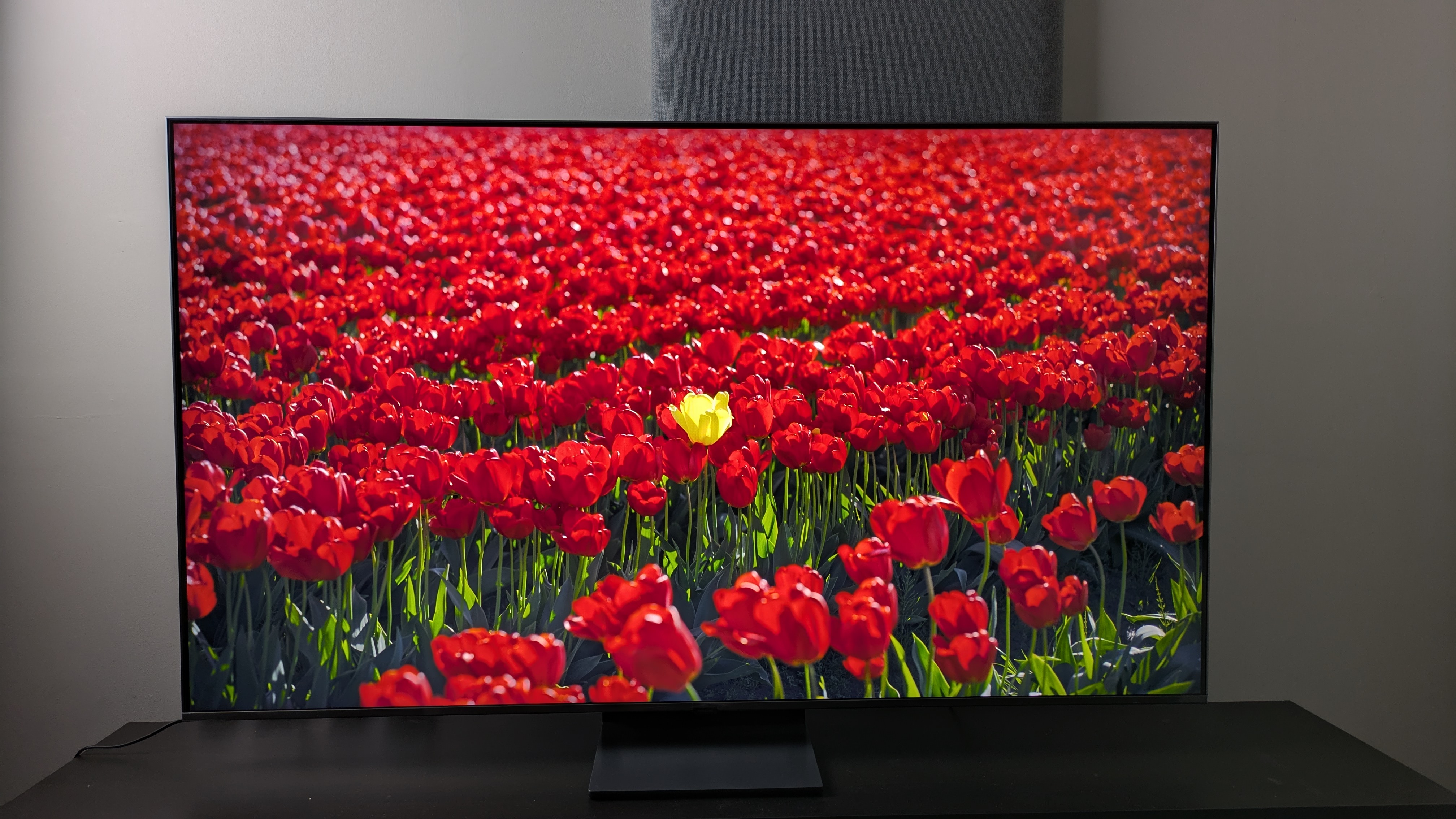 Samsung QN80F with red and yellow flowers on screen