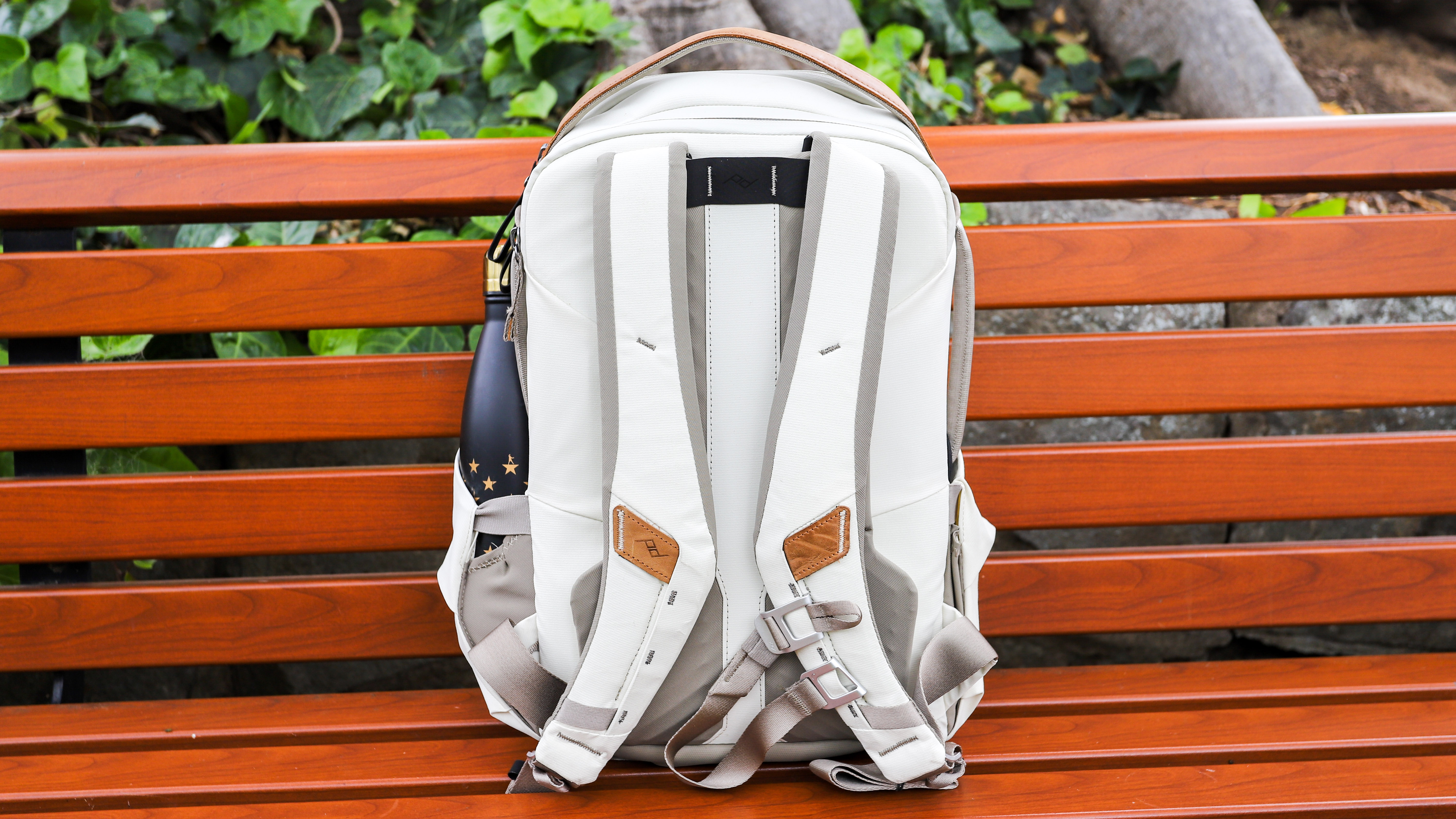 Rear of the Peak Design Everyday Backpack Zip