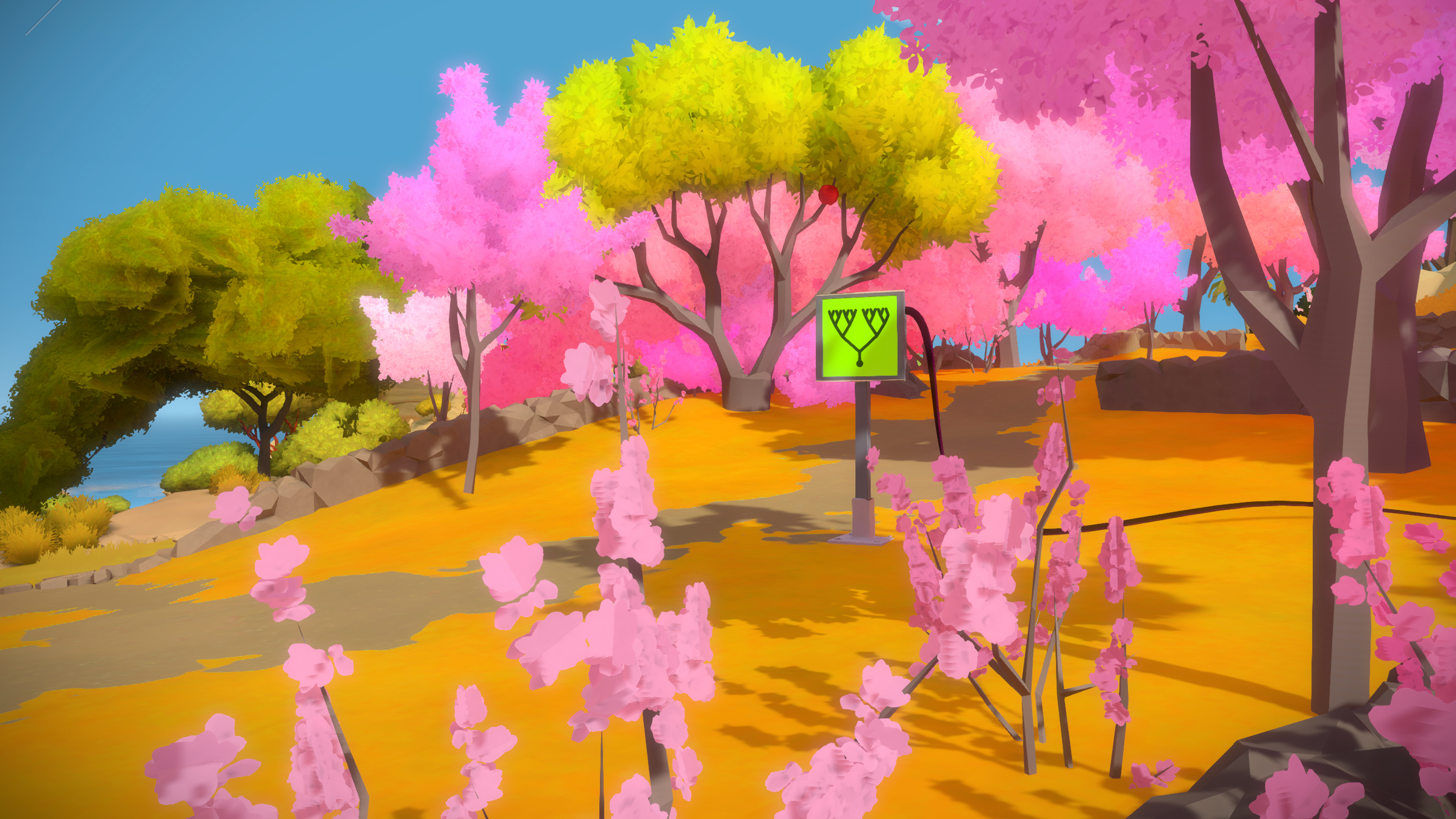The Witness