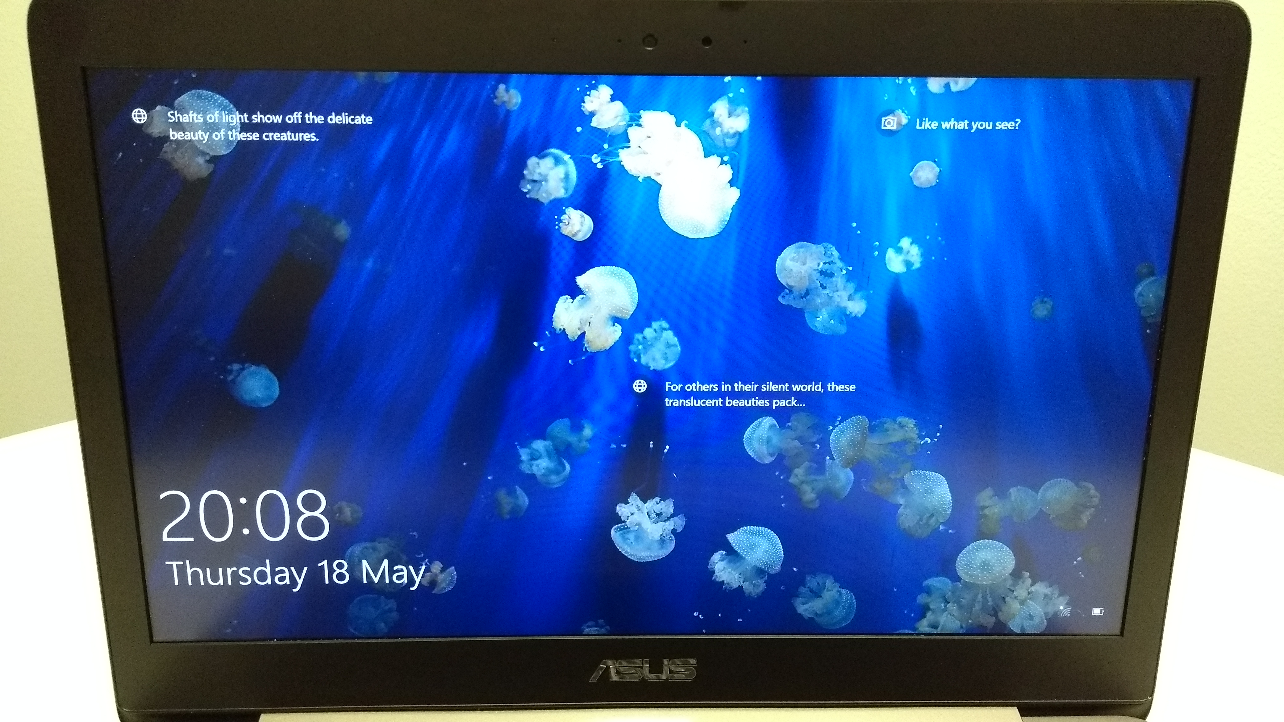 Asus Zenbook UX310UA